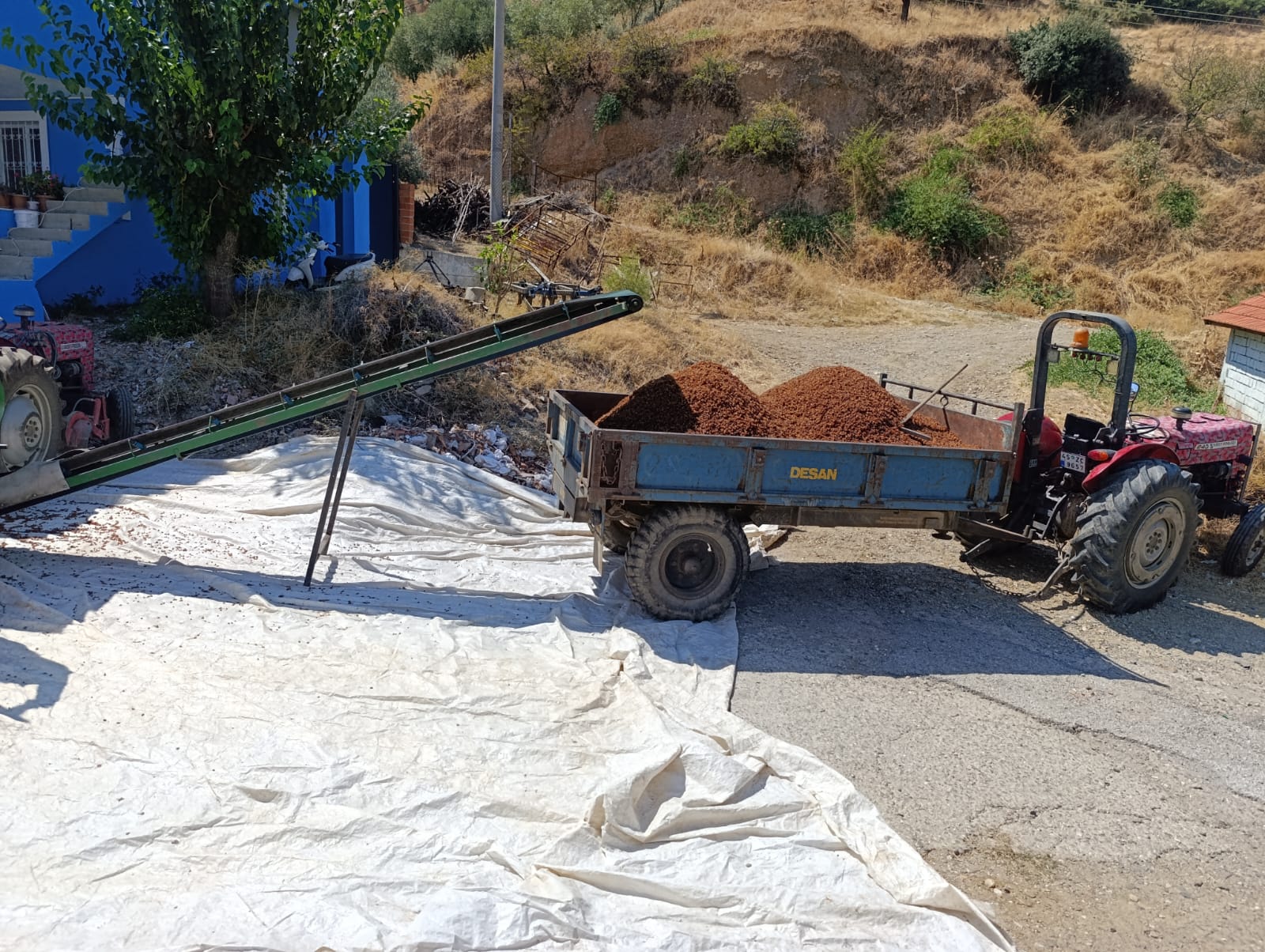 Kardeşler Tarım